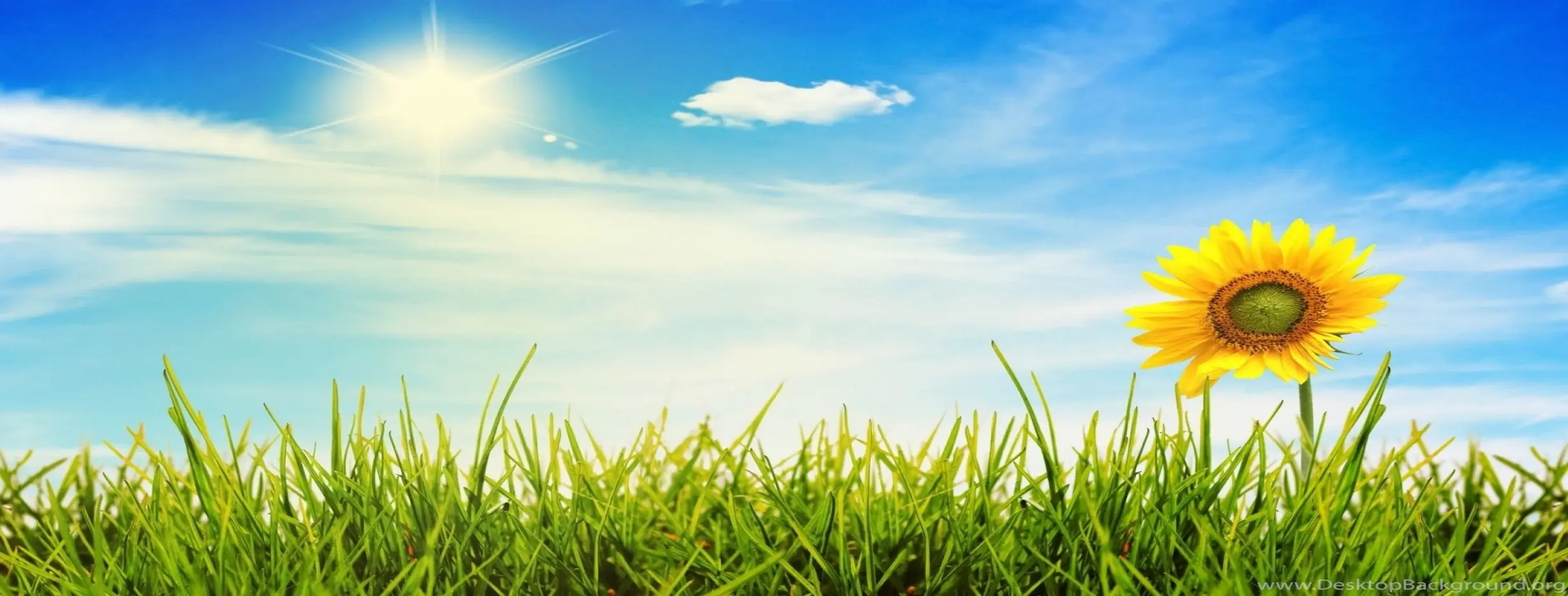 Image for Warm Climate